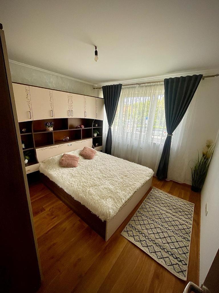 Diana 7 Daire Kaloşvar Dış mekan fotoğraf